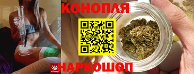 прущий лед Будённовск