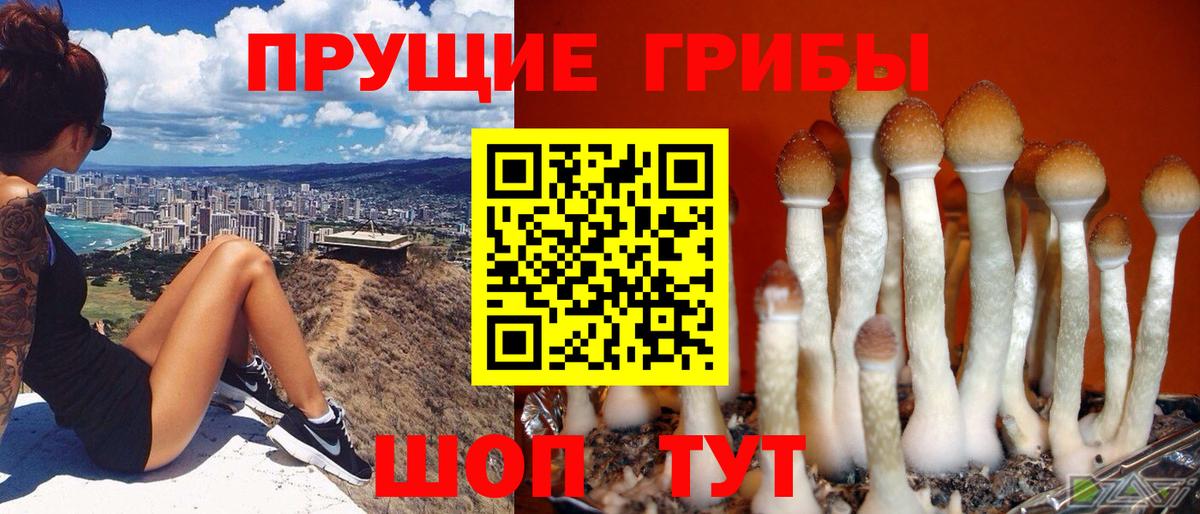 Псилоцибиновые грибы мухоморы  Вход с VPN  Галлюциногенные грибы прущие грибы  Мурманск 